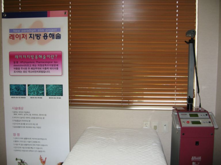 HPL 레이저 지방용해기(3층)